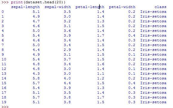 Python Machine Learning dataset head