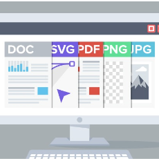 Document Viewer SDK Technology