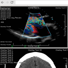 Medical Web Viewer Framework SDK Technology App