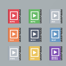 Multimedia Playback SDK Technology