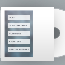 DVD Authoring SDK Technology
