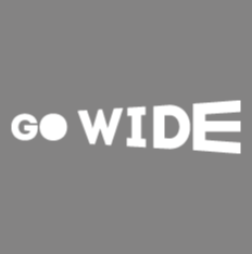 GoWide CPA network Ad Networks App