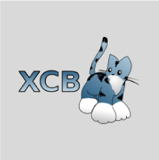 Xcb Parallel Programming App