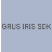 GRUS IRIS SDK App
