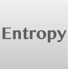 Entropy Compression Algorithms