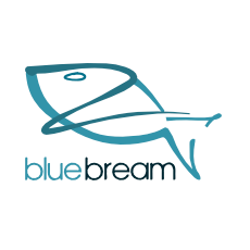 BlueBream Web Frameworks App