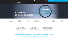 Black Duck Static Analysis App