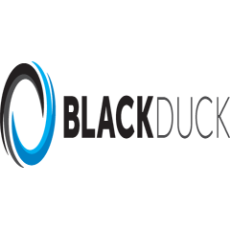 Black Duck Static Analysis App