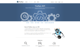 TinEye API Image Recognition App