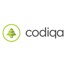Codiqa Cross Platform Frameworks App