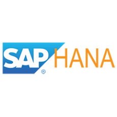 SAP HANA Build Automation App