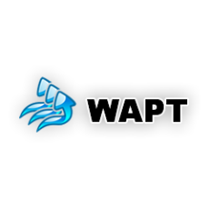 WAPT Pro Test Automation App