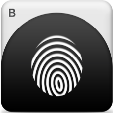 Touch N Go Fingerprint App