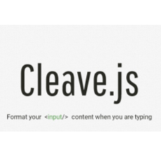 Cleave.js JavaScript App