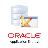 Oracle Application Express App
